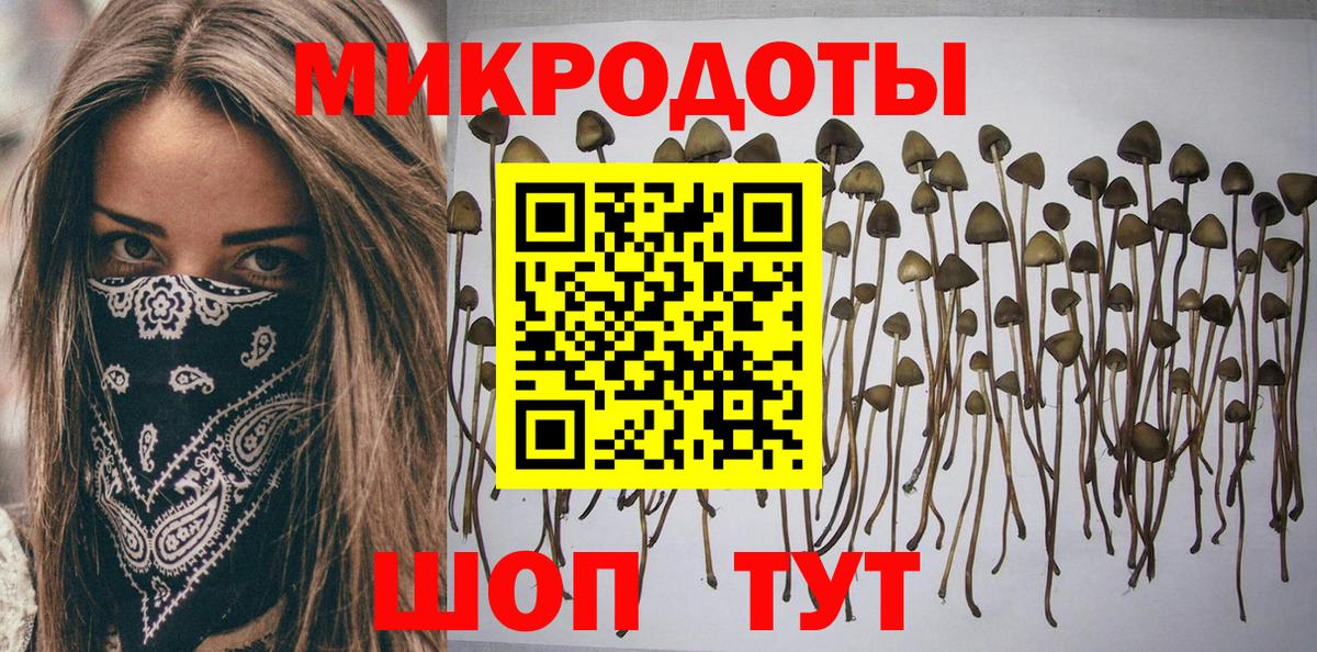 Псилоцибиновые грибы мицелий  Галлюциногенные грибы Psilocybe  Евпатория  Вход с VPN 