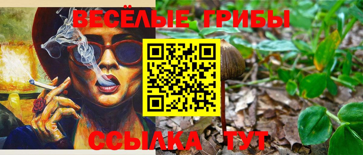 Псилоцибиновые грибы прущие грибы Евпатория